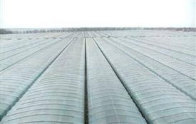 大棚膜選購指南 廠家、價格與批發全解析